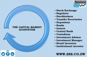Capital Market Ecosystem